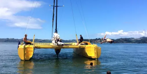 Guests diving and swimming off the yellow Boom Sailing catamaran in Mercury Bay