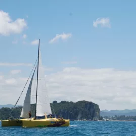 Boom Sailing’s yellow catamaran cruising offshore with Coromandel’s rugged coastline in the background