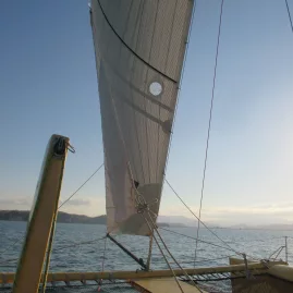 Close-up of the sail and rigging on Boom Sailing’s catamaran under afternoon light