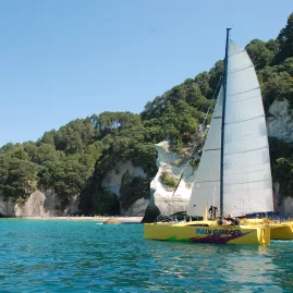 Boom Sailing’s yellow catamaran anchored near Cathedral Cove and Te Hoho Rock