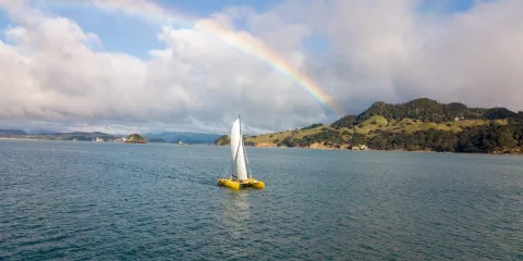 Yellow catamaran sailing under a rainbow in Mercury Bay