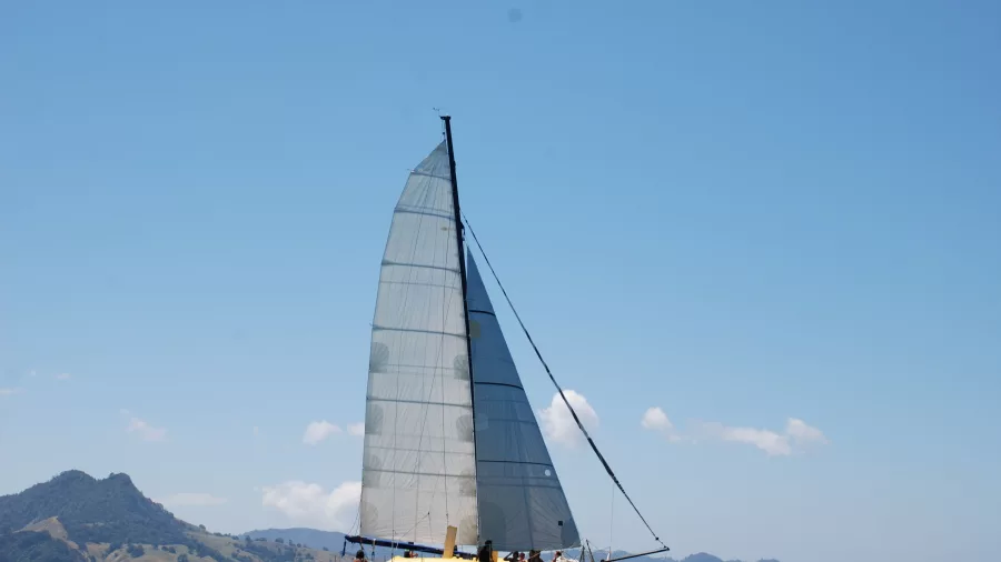 Yellow catamaran Fully Charged sailing along the Coromandel coast with scenic hills in the background