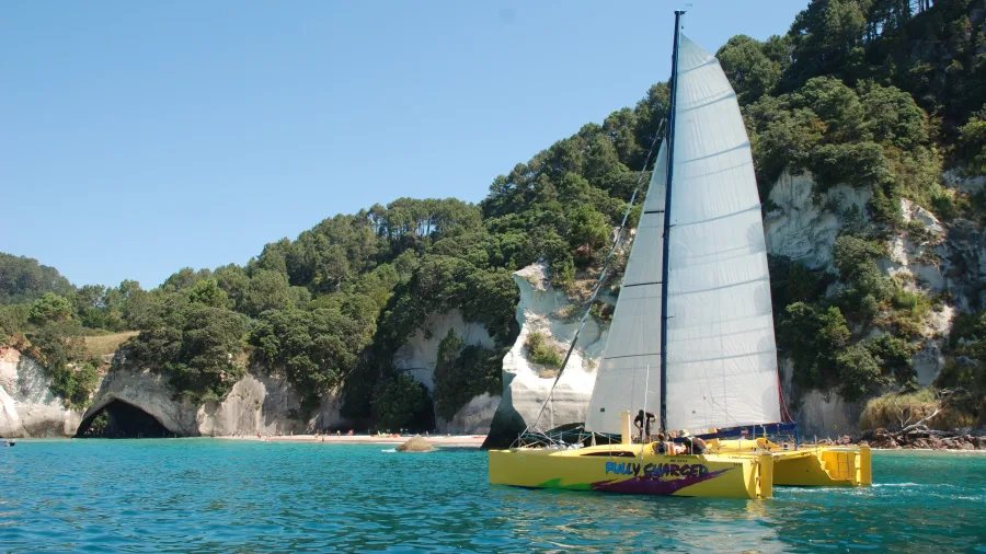 Boom Sailing’s yellow catamaran anchored near Cathedral Cove and Te Hoho Rock