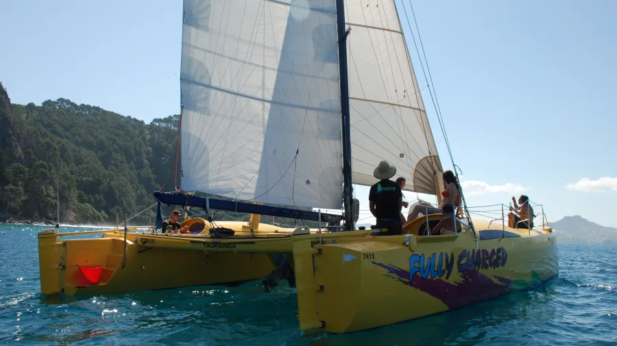Yellow sailing catamaran with full sails cruising along the Coromandel coastline