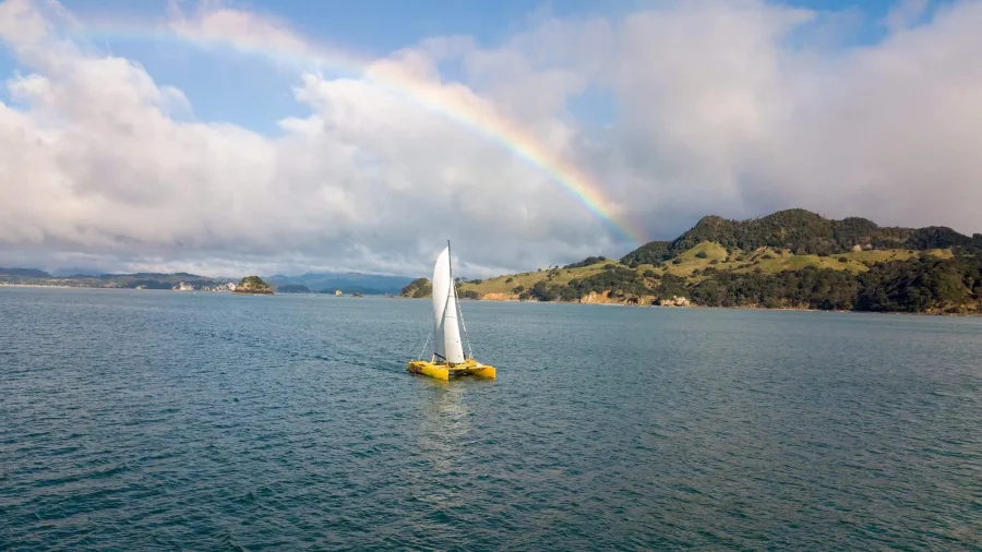 Yellow catamaran sailing under a rainbow in Mercury Bay