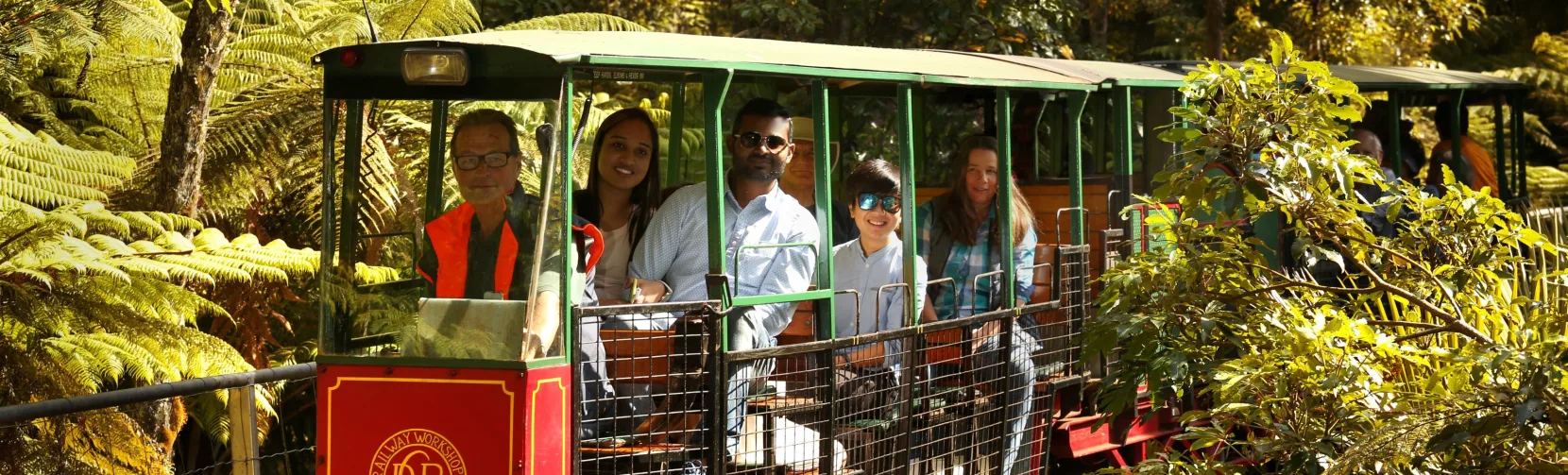 Passengers enjoying a guided forest tour aboard the Driving Creek Railway train
