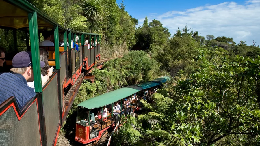Narrow-gauge train winding through native forest at Driving Creek Railway in Coromandel