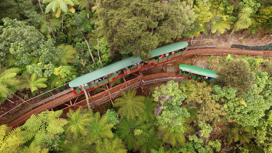 Aerial view of Driving Creek Railway train weaving through forest tracks