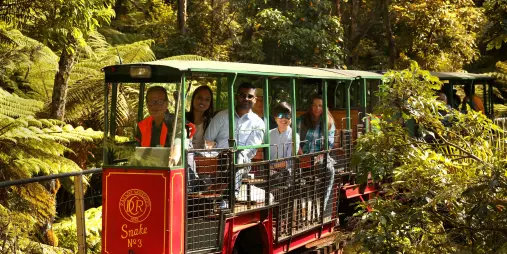 Passengers enjoying a guided forest tour aboard the Driving Creek Railway train