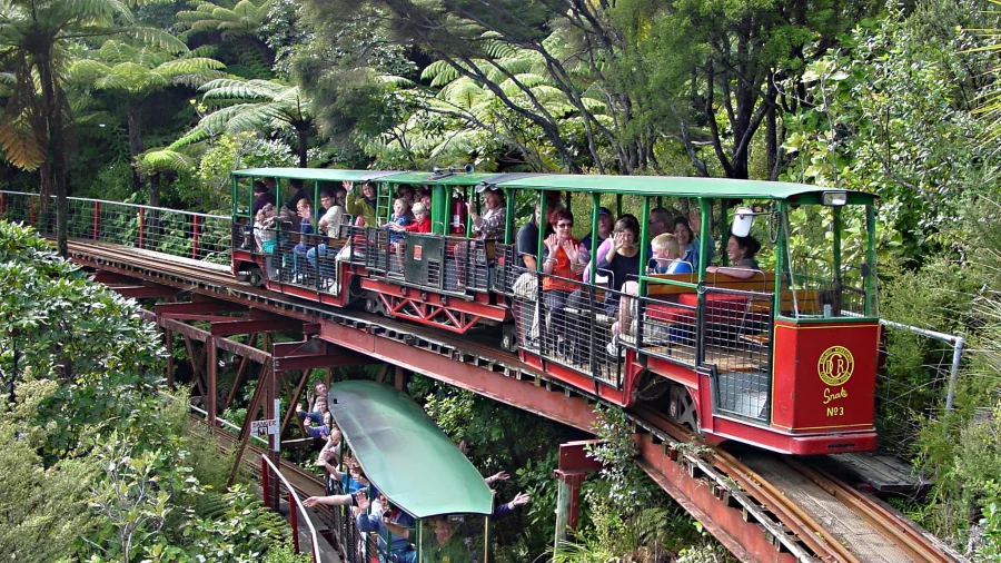 Two Driving Creek Railway trains passing on different tracks above and below a forested bridge