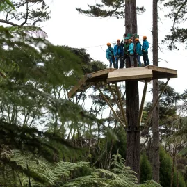 Tour group waiting on elevated zipline platform in the native Coromandel forest