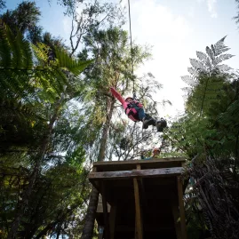 Person jumping from elevated zipline platform into the forest canopy at Driving Creek
