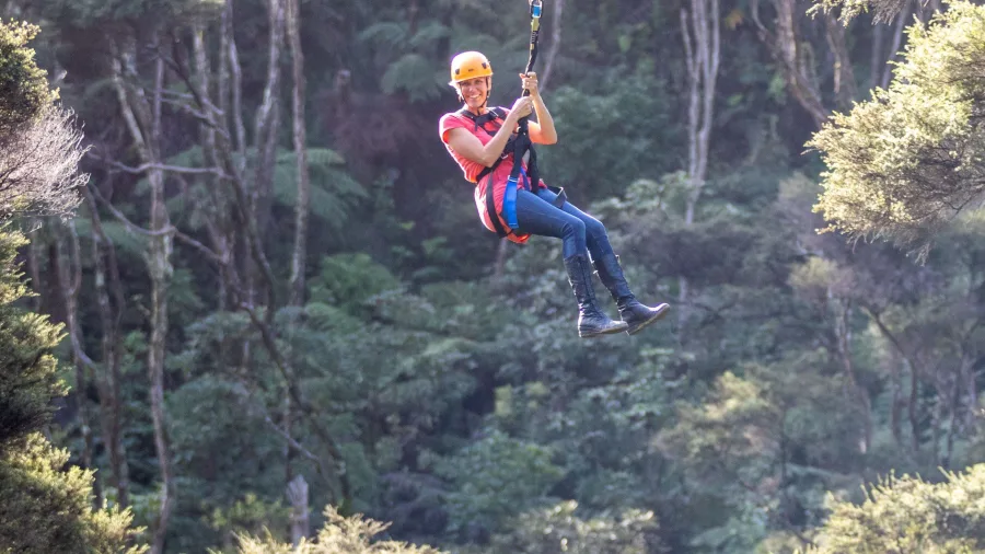Adult ziplining high above the treetops in Coromandel’s native forest