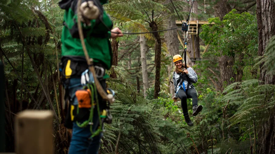 Zipline guide welcomes guest to forest platform at Driving Creek in Coromandel