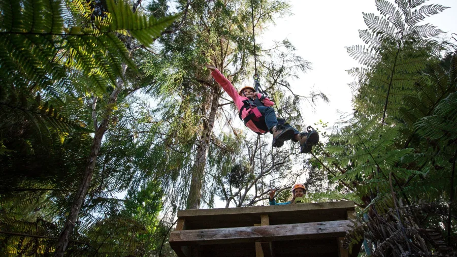Person jumping from elevated zipline platform into the forest canopy at Driving Creek