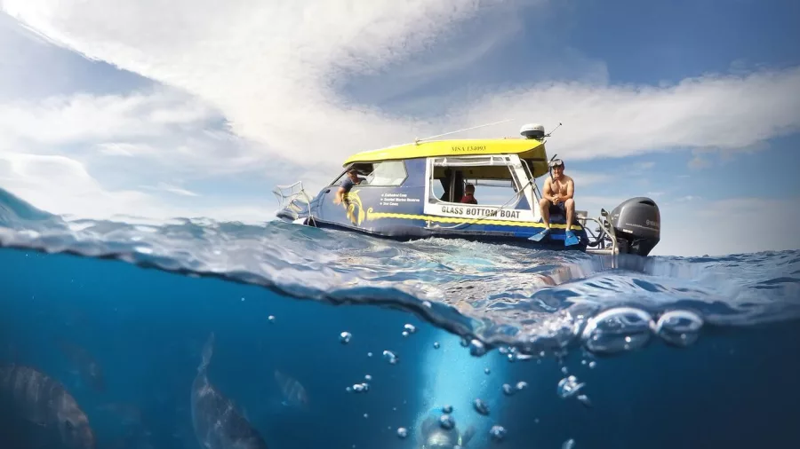 Split image showing a swimmer underwater and the Glass Bottom Boat floating on the surface