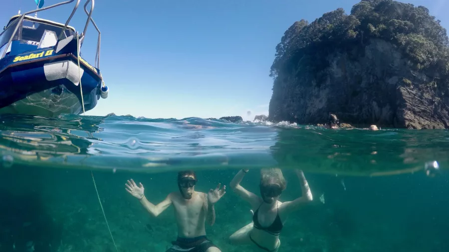 Two snorkellers exploring clear waters near the Glass Bottom Boat in the Cathedral Cove Marine Reserve