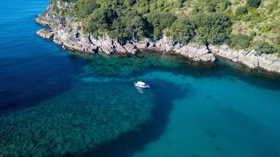 Aerial view of a Glass Bottom Boat floating above vibrant reef in the Cathedral Cove Marine Reserve