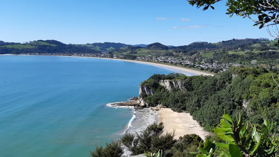 Panoramic view of Cook’s Beach from Shakespeare Cliff on the Coromandel Peninsula