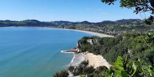 Panoramic view of Cook’s Beach from Shakespeare Cliff on the Coromandel Peninsula