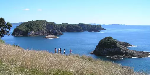 Group walking along the Hahei coast with scenic island views in Coromandel