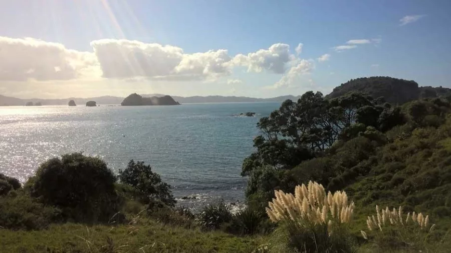 Panoramic coastal view of Mercury Bay in the northern Coromandel Peninsula