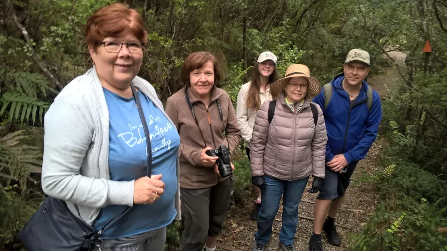 Group of nature walkers on a guided bush tour in Coromandel forest
