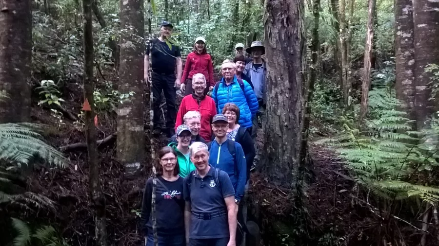 Group of hikers in the dense rainforest of the Coromandel Peninsula