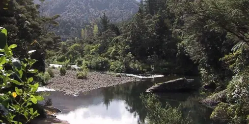 Calm river with reflections of native forest and hills in Coromandel