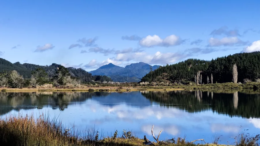 Scenic reflections of forested mountains on a still lake near Pauanui and Tairua on the Coromandel Peninsula, New Zealand