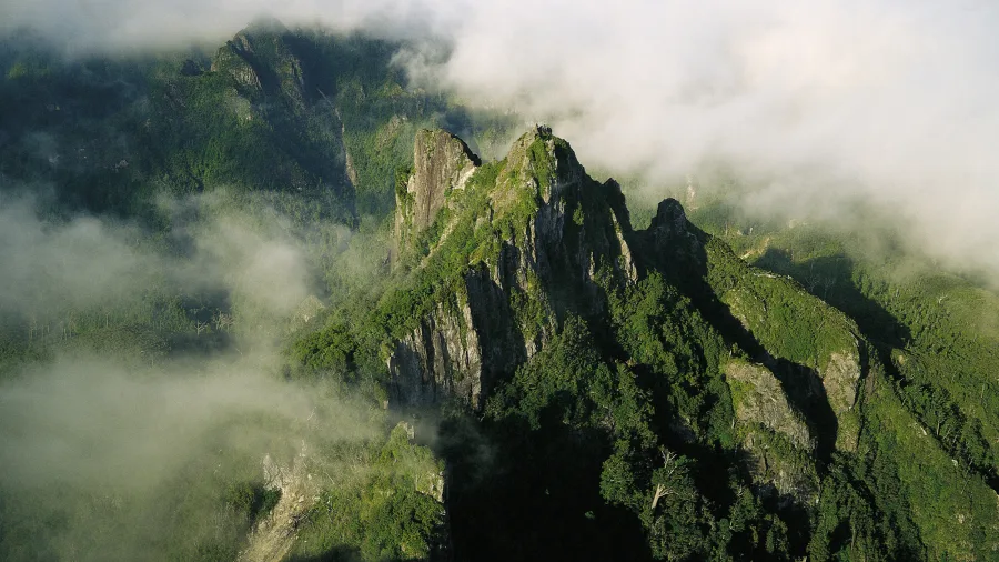 Aerial view of The Pinnacles mountain peaks rising above the forest and clouds in Coromandel Forest Park, New Zealand
