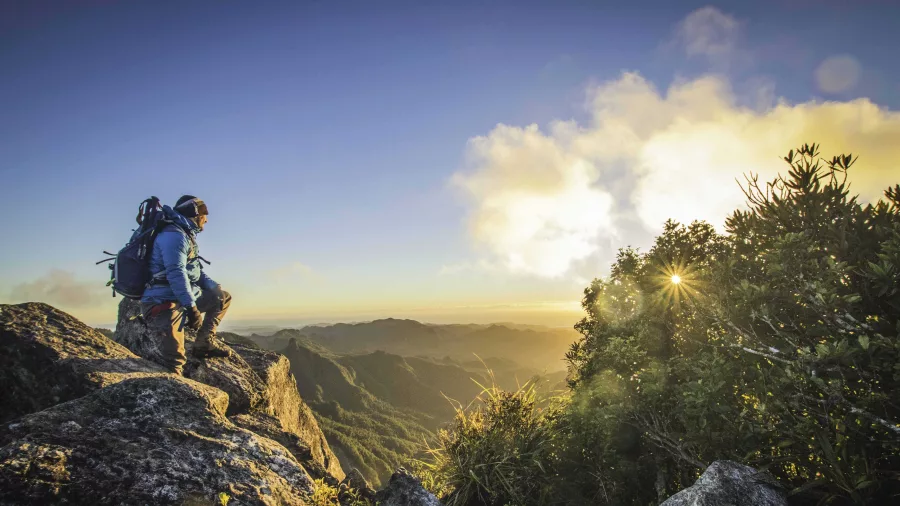Hiker with backpack standing on rocky summit at sunrise on The Pinnacles near Thames in Coromandel Forest Park, Waikato, New Zealand
