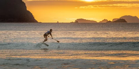 Foil surfer riding the waves at sunset on Whitianga Beach with golden skies and offshore islands on the Coromandel Peninsula, New Zealand