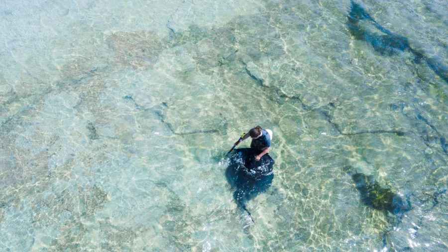 Tour group standing in clear water interacting with stingrays at Tatapouri Reef