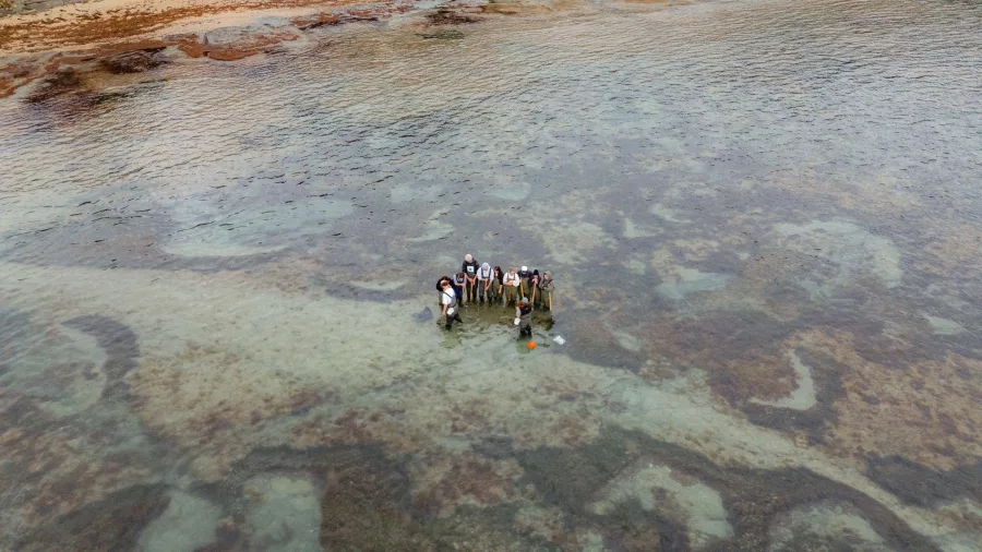 Distant drone view of reef tour group in shallow water near Tatapouri, Gisborne, New Zealand