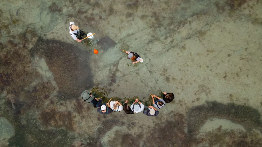 Guide talks to tour group standing in a semi-circle as a visitor interacts with a wild stingray at Tatapouri Reef