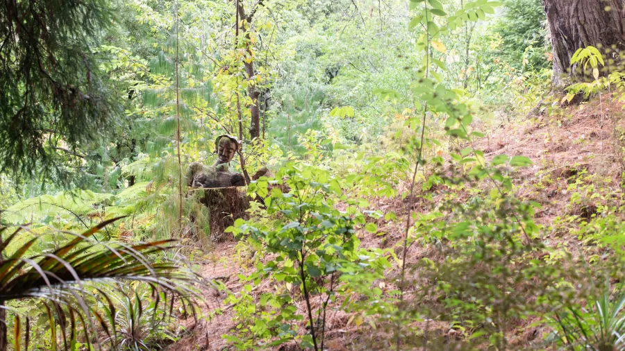 A hidden sculpture surrounded by native bush at Eastwoodhill Arboretum