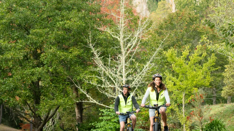 Two cyclists enjoying a smooth downhill section surrounded by forest and greenery