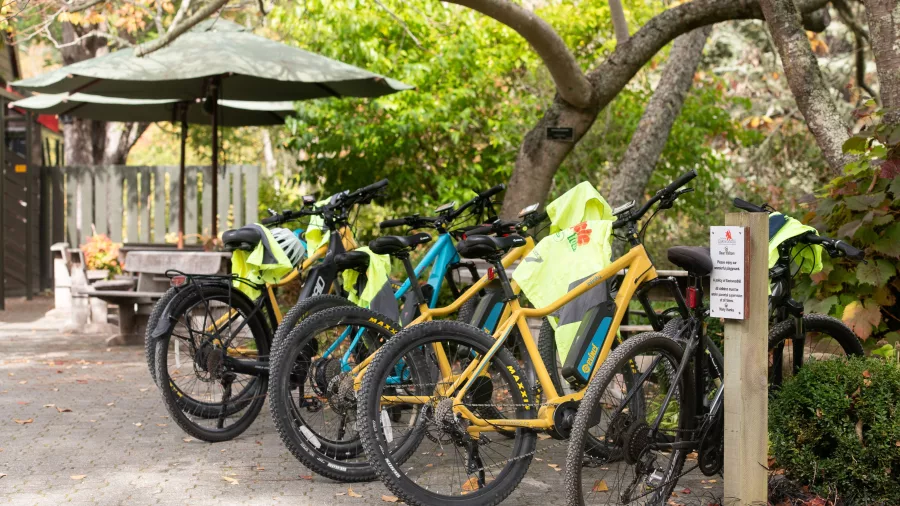 Bikes and high-vis vests parked under trees at the start of the Eastwoodhill cycle tour