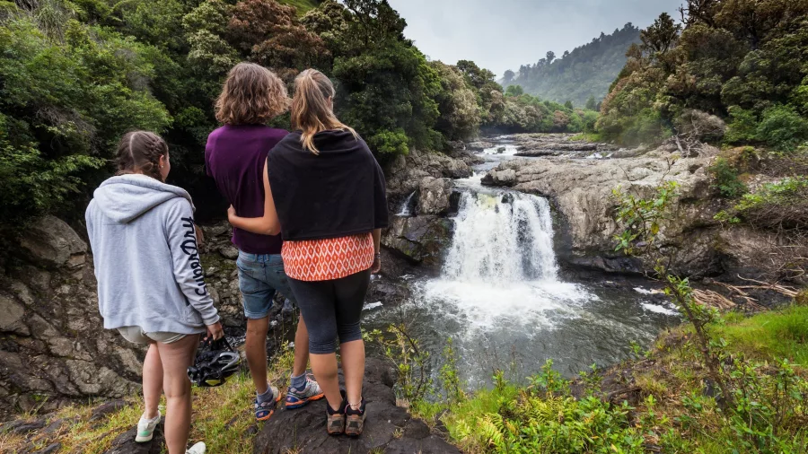 Three people admiring a cascading waterfall surrounded by native bush on the Pakihi Track