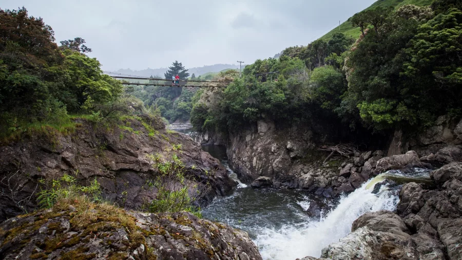 Suspension bridge over the river along the Pakihi Track, part of the greater trail network