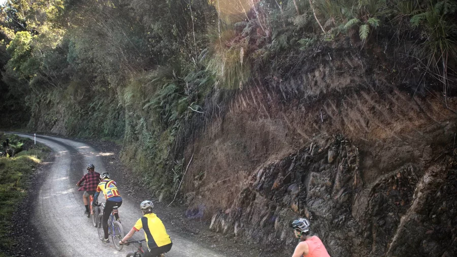 Group of cyclists riding uphill in the Raukumara Ranges under morning sunlight