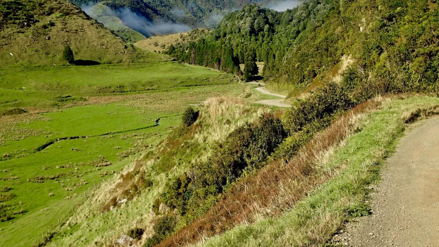 Scenic descent towards Toatoa on the Raukumara Traverse cycle trail in Gisborne