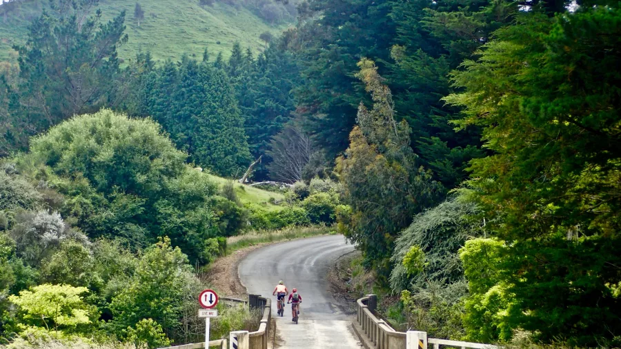 Cyclists riding along Te Wera Road on the Rere Falls Cycle Trail near Gisborne