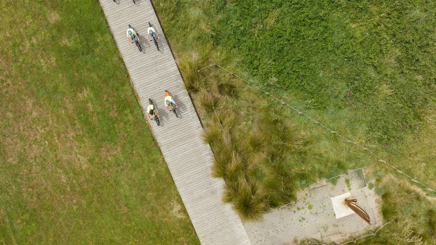 Top-down view of cyclists riding a boardwalk trail through grassy coastal wetlands