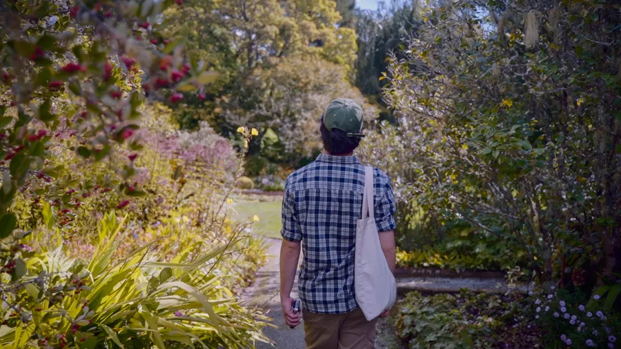 Visitor walking through Eastwoodhill Arboretum in Gisborne