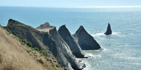 Rugged sea cliffs at Cape Kidnappers along the Hawke’s Bay coastline near Napier
