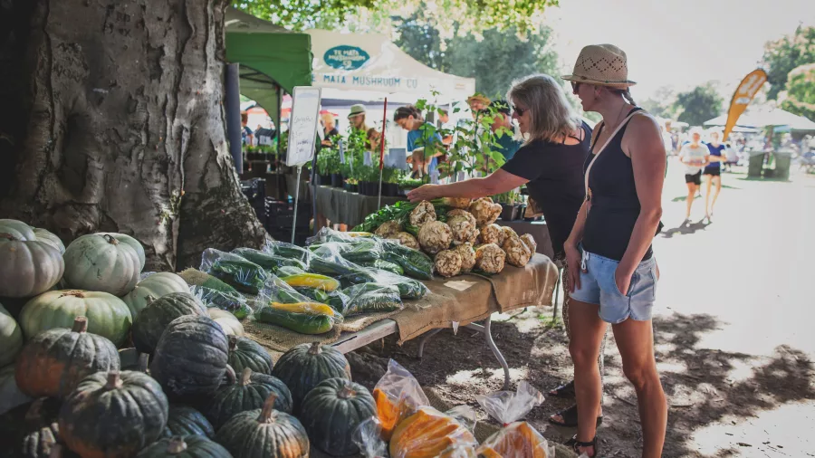 Shoppers browsing fresh produce at a vegetable stall at Hawke’s Bay Farmers’ Market