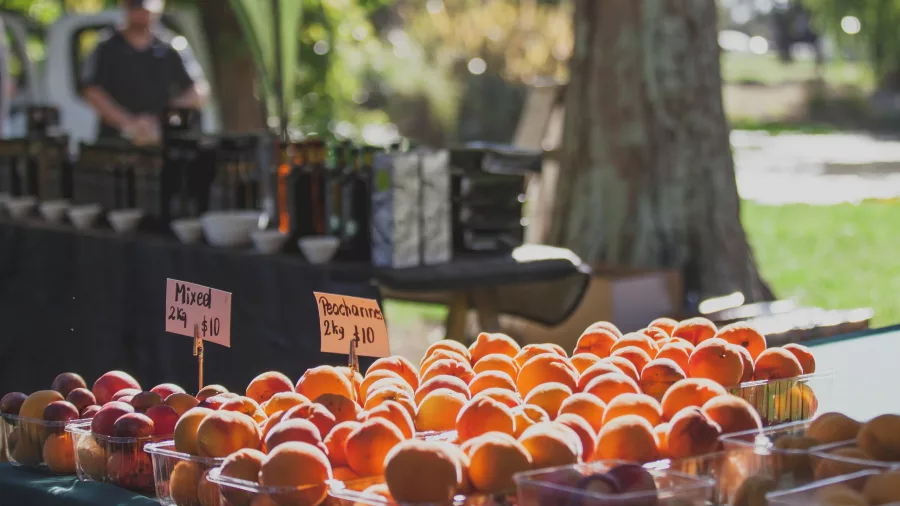 Nectarines and peaches for sale at a Hawke’s Bay Farmers’ Market stone fruit stall
