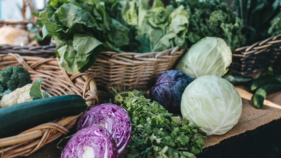 Fresh vegetables including cabbage, kale and herbs at a Hawke’s Bay farmers’ market